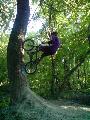 tree ride to fakie